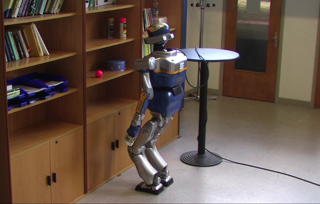 Humanoid Robot Motion Planning