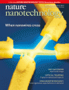 Nature Nanotechnology Cover 2013